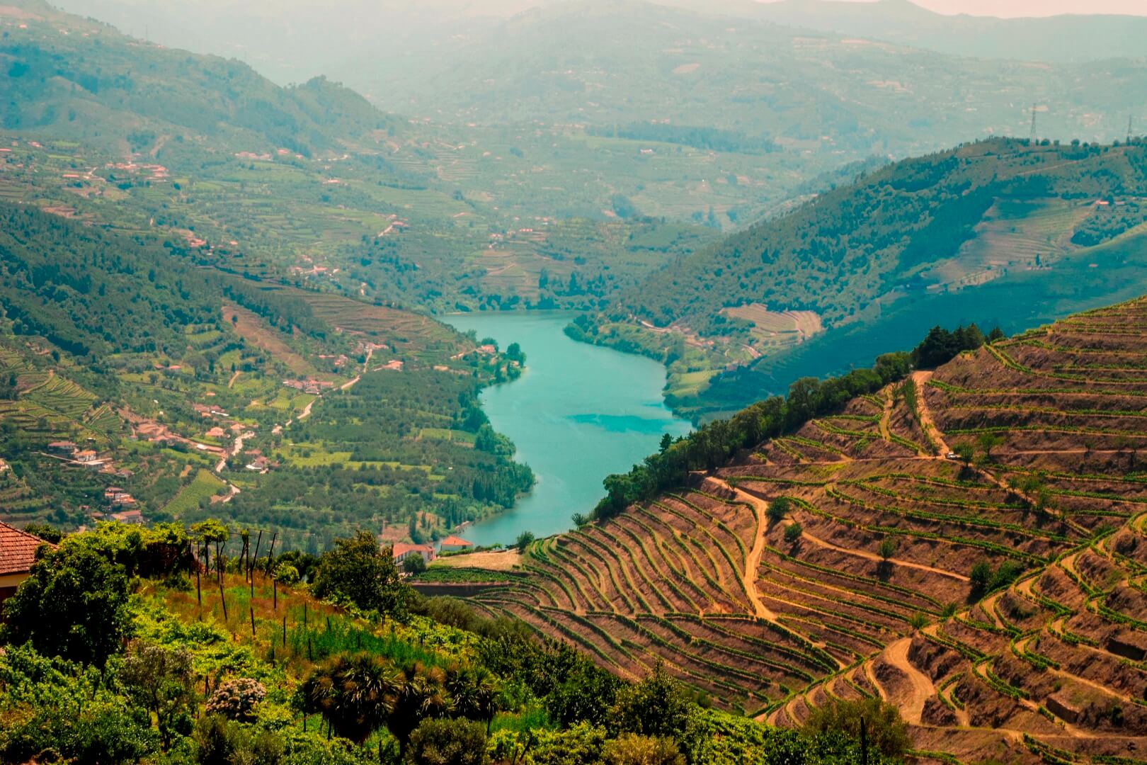 DOURO VALLEY WINE-GROWING AREA PORTUGAL REAL ESTATE | Douro Superior Porto, Cima Corgo, Baixo Corgo